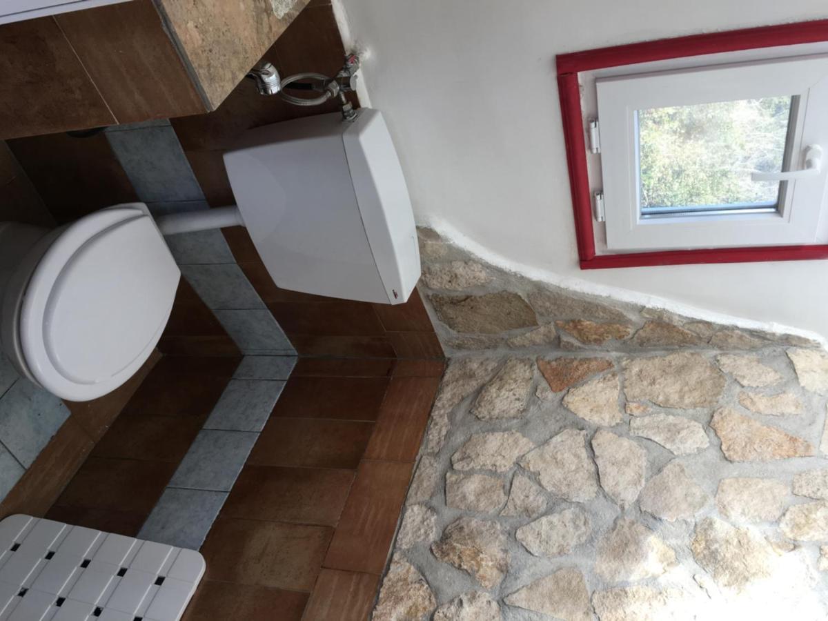 Camilla House Bed & Breakfast Santa Marinella Exterior photo